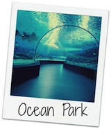 4. Ocean Park