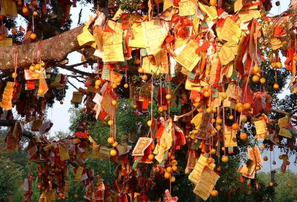 chinese new year wishing tree tradition