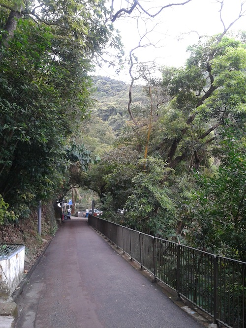 Bowen-Trail-hk
