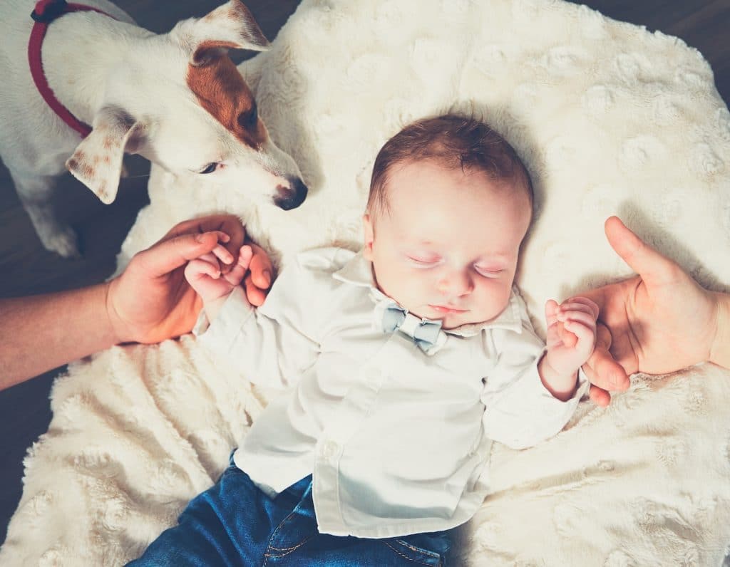 Pets and babies