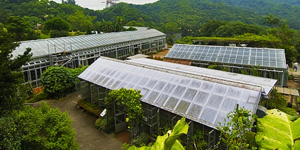 Nature:Hiking- Kadoorie Farm