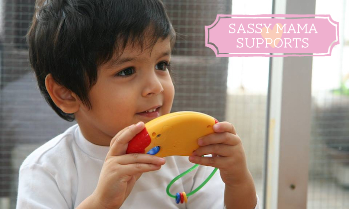 The Zubin Foundation - Sassy Mama HK Supports