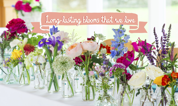 long lasting flowers