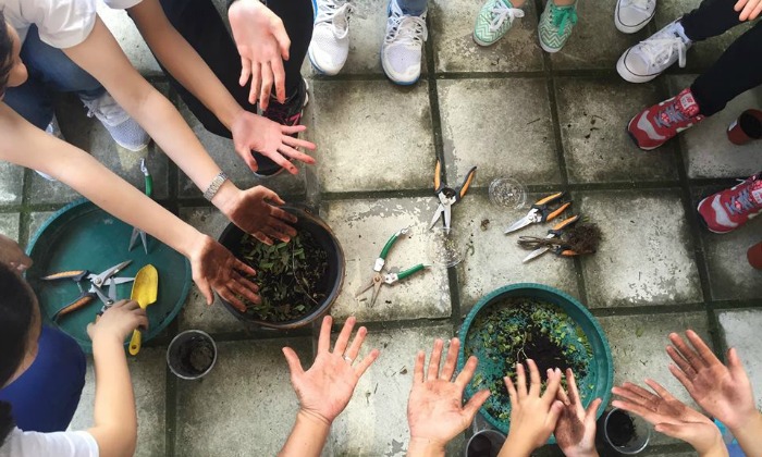 Urban Farming Kids