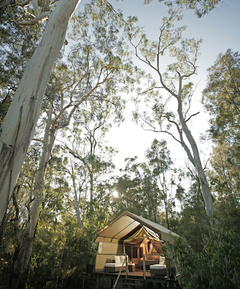 Paperbark camp jervis bay australia