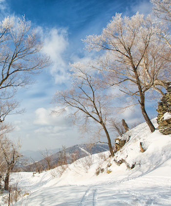 CNY family ski package in asia