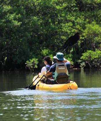 kayaking in okinawa