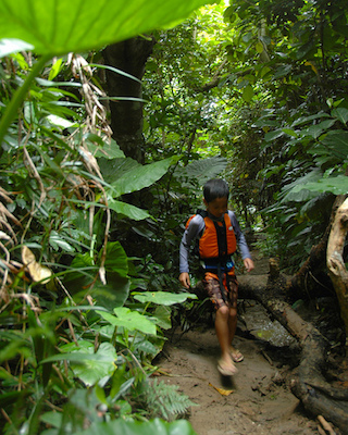 jungle trekking