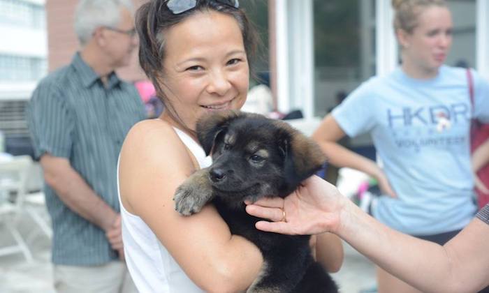 hong kong dog rescue, diamond dogs, charity gala
