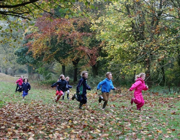 Forest School Event