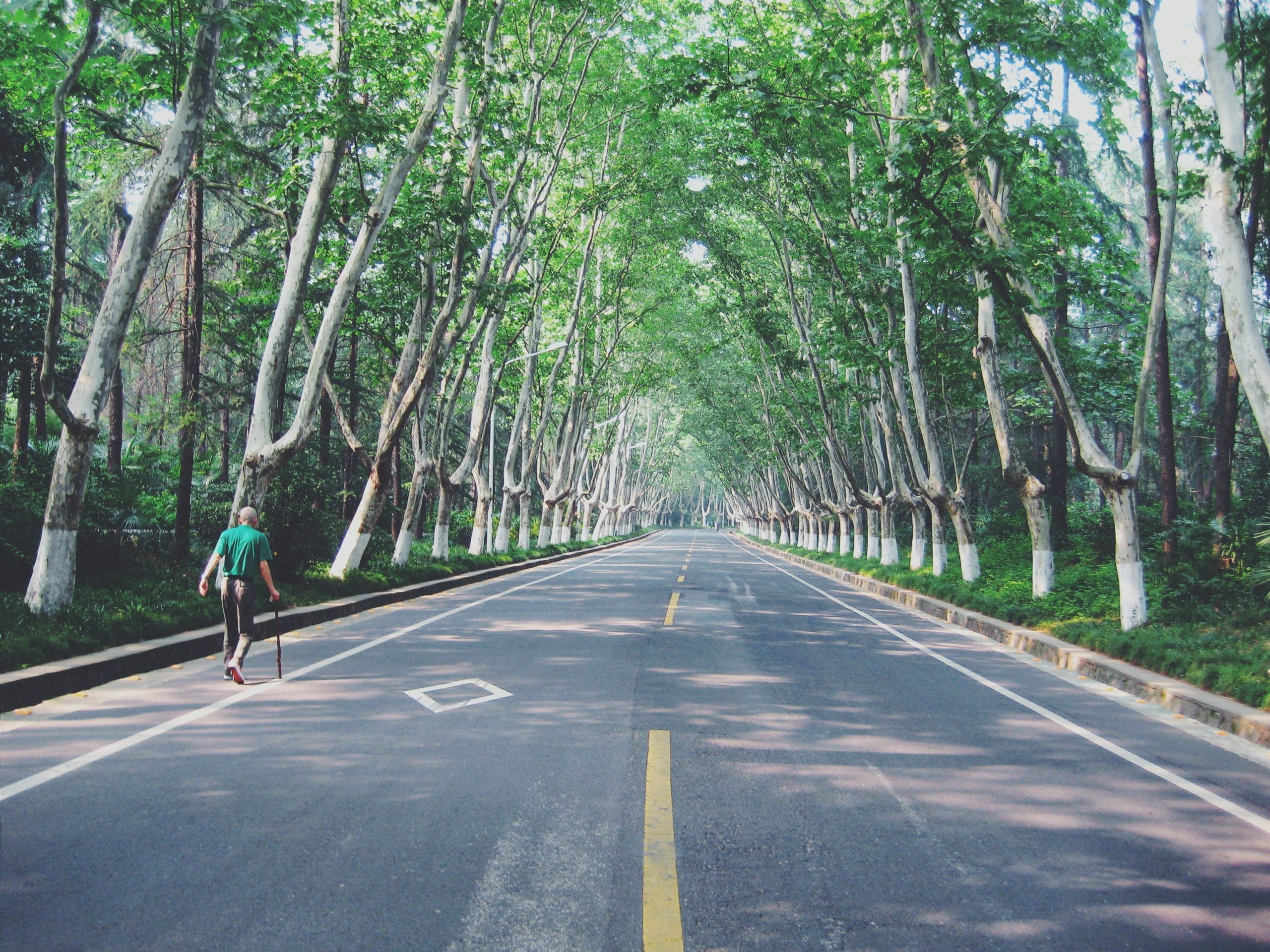 Chinachem Eco-Walk: Largest Eco Activity in Hong Kong