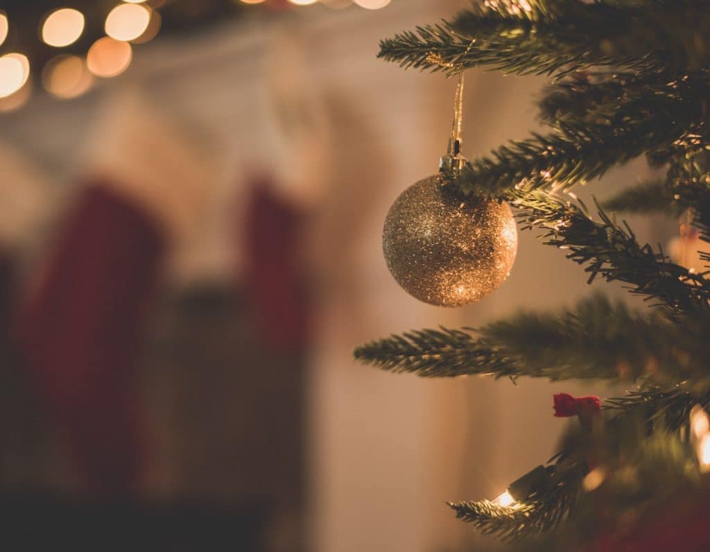 where to buy your christmas tree in hong kong where to buy your christmas tree in hong kong