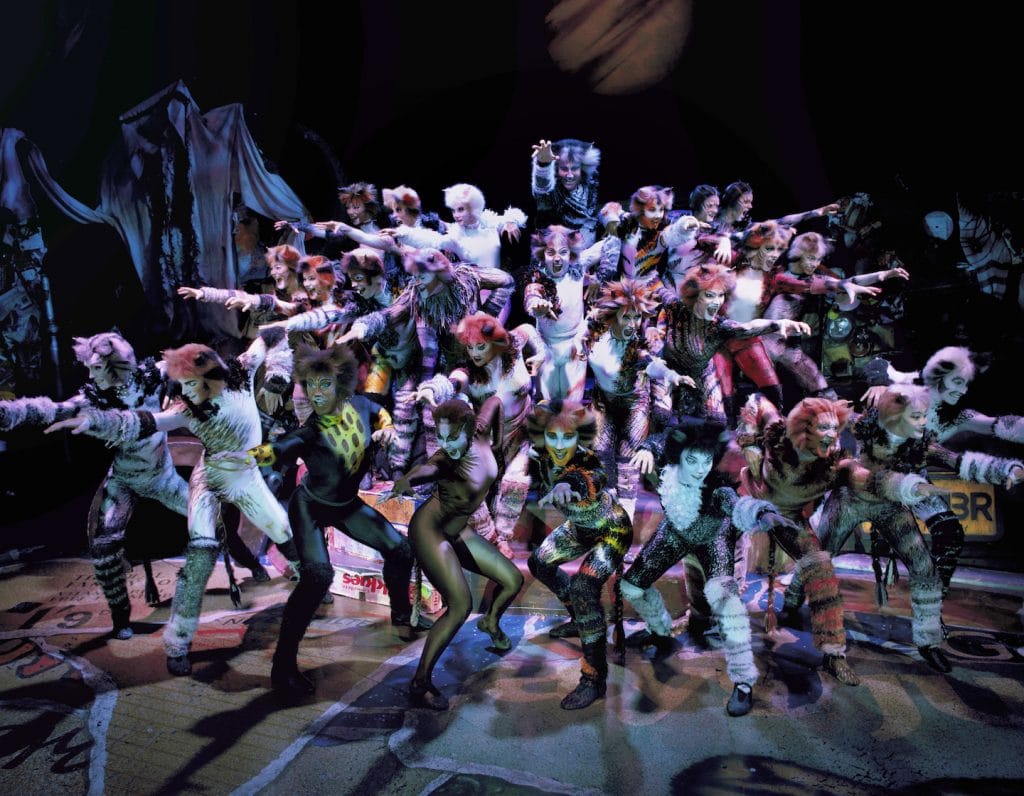 cats the musical