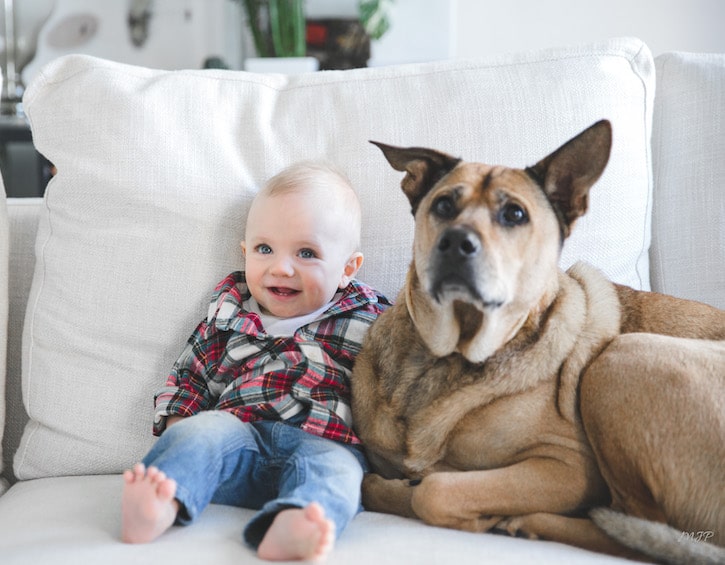 that mama Gemma Blest baby with dog