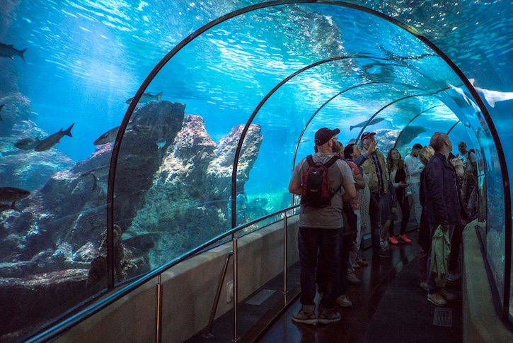 Barcelona Aquarium 