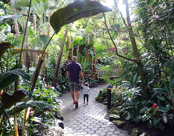 Bloedel Conservatory