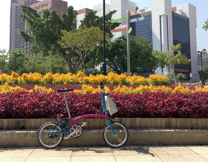 Bike Brompton flowerbed