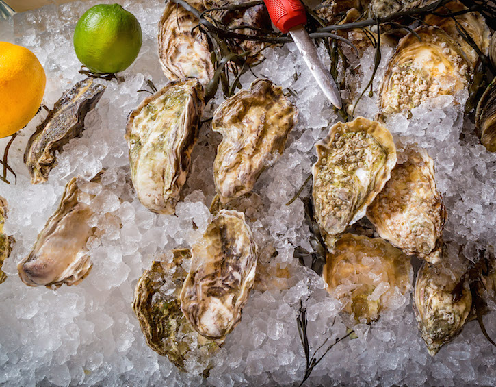 Fishteria oysters happy hour