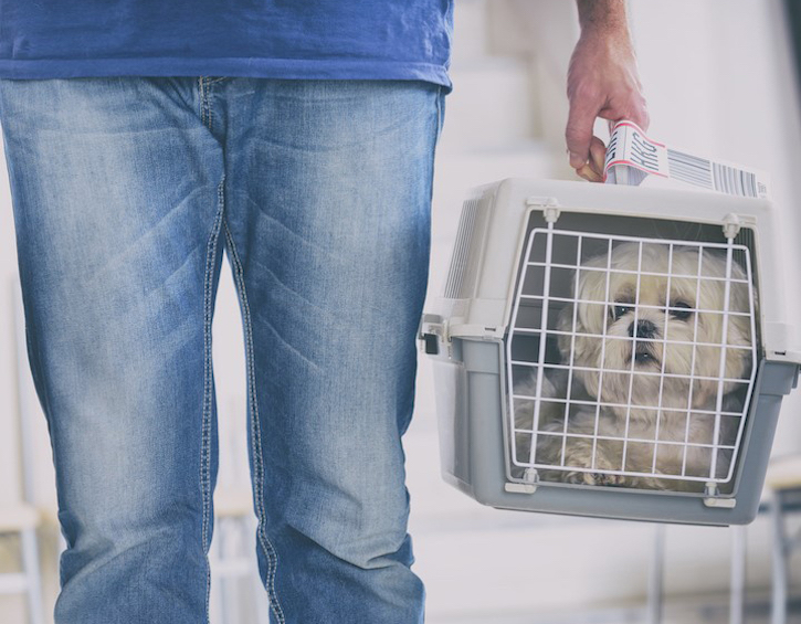 Woman holding dog carrier