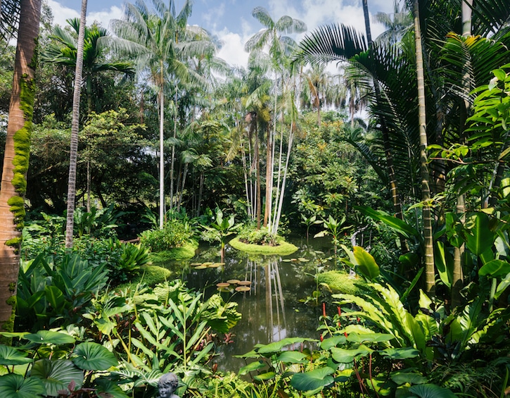 Free things in Singapore, Botanical gardens