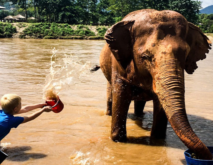 Elephant sanctuary Thailand