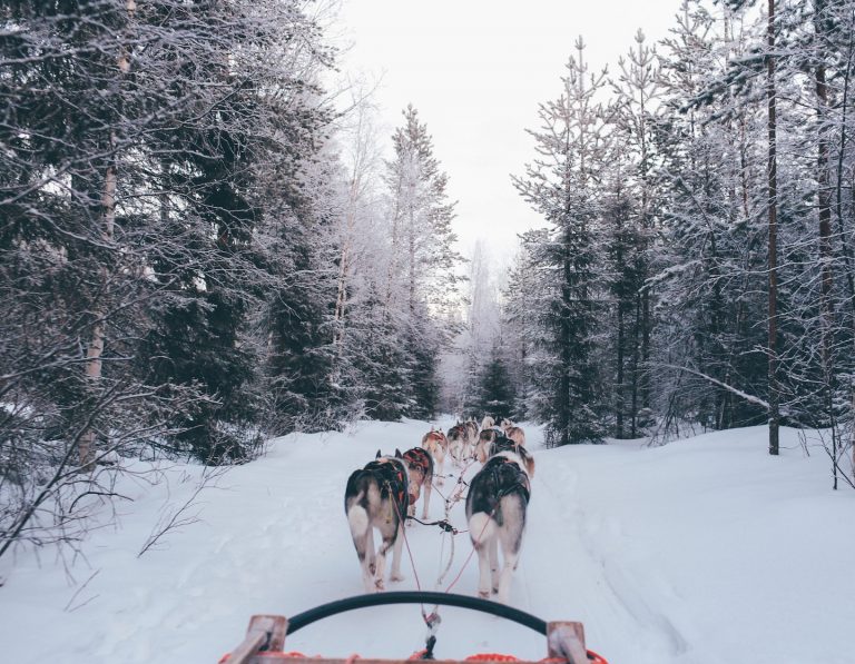 Sleigh ride in finland