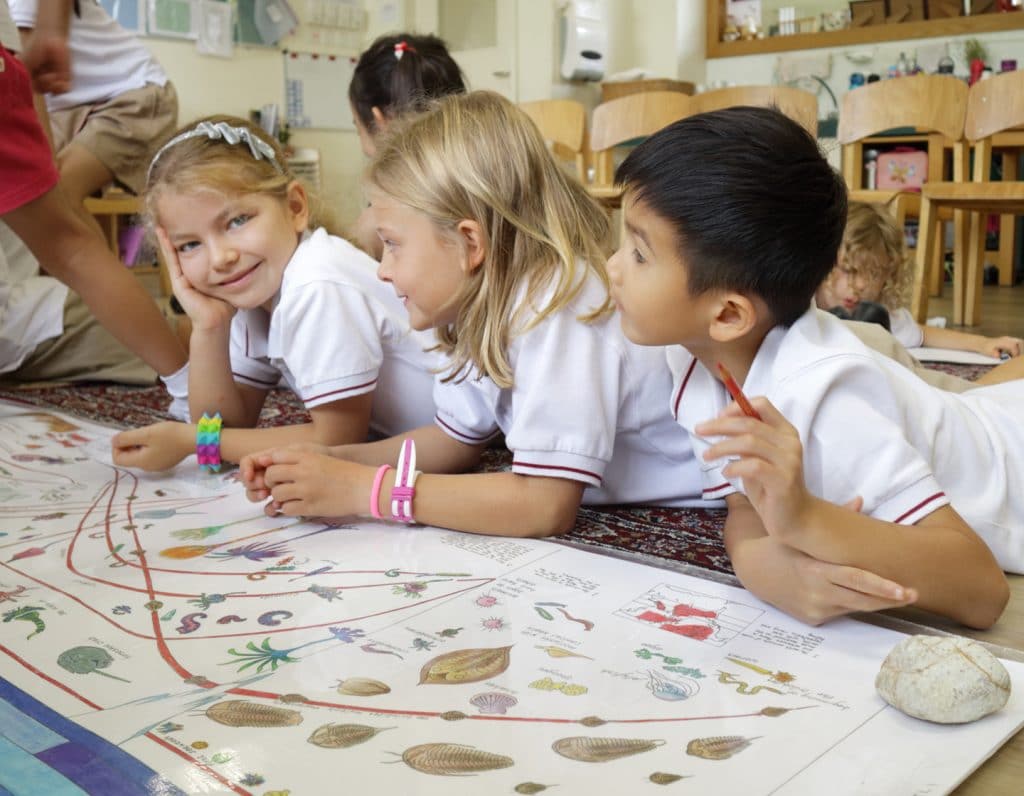 International Montessori School Open Day