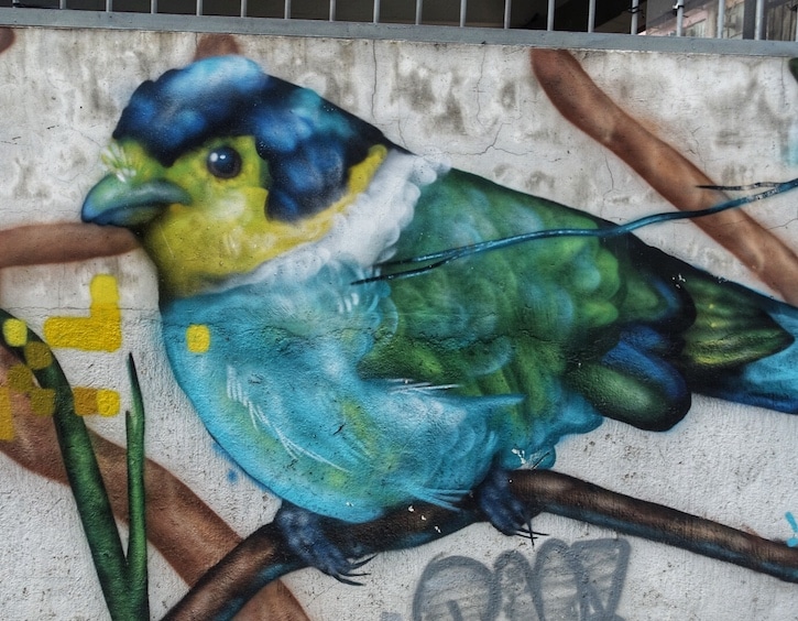 whats on street art bird