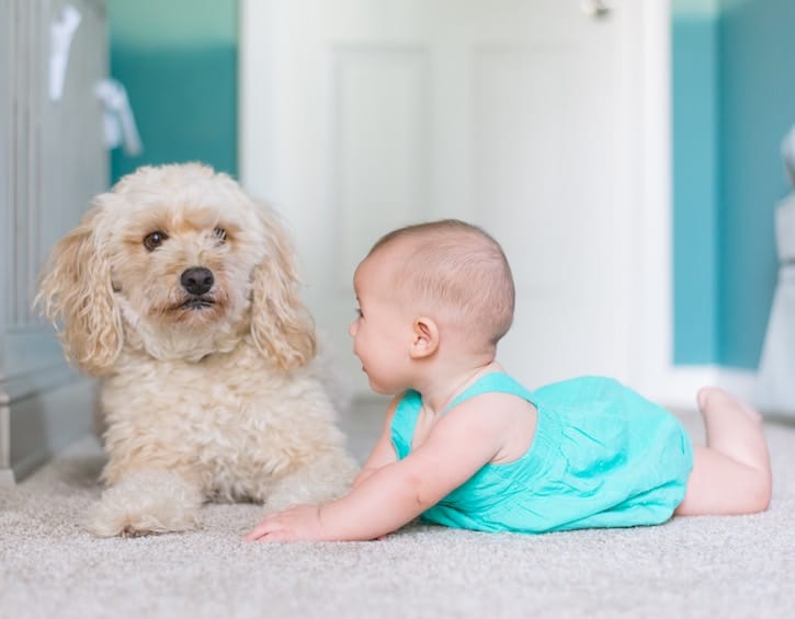 child development tummy time