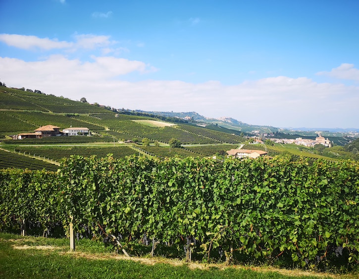 travel northern italy family guide piemonte wineries