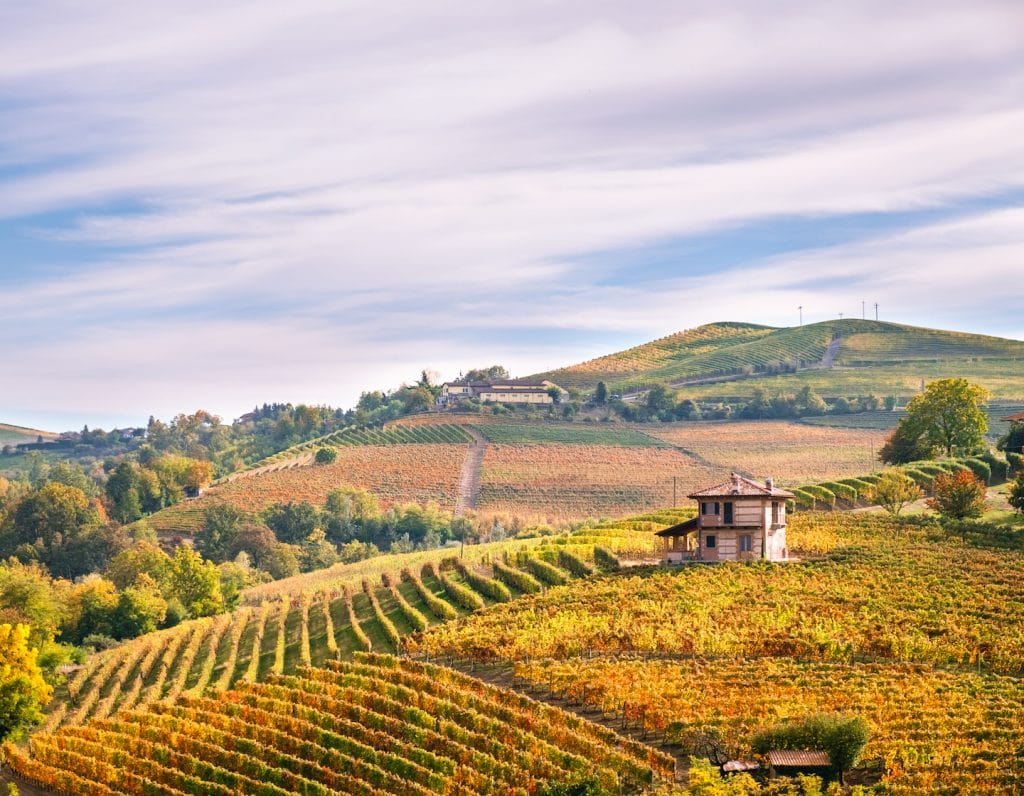 travel northern italy family guide winery feature