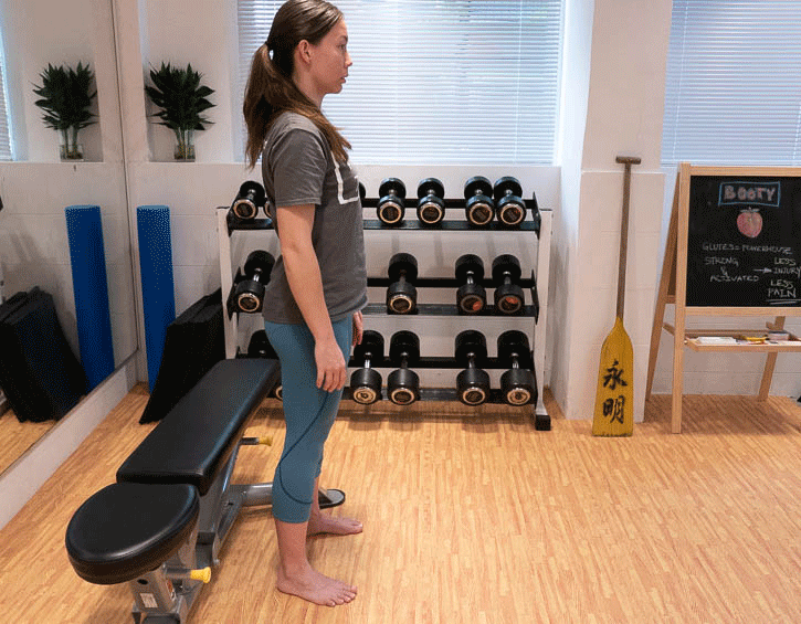 Pre- and postnatal fitness exercises box squat