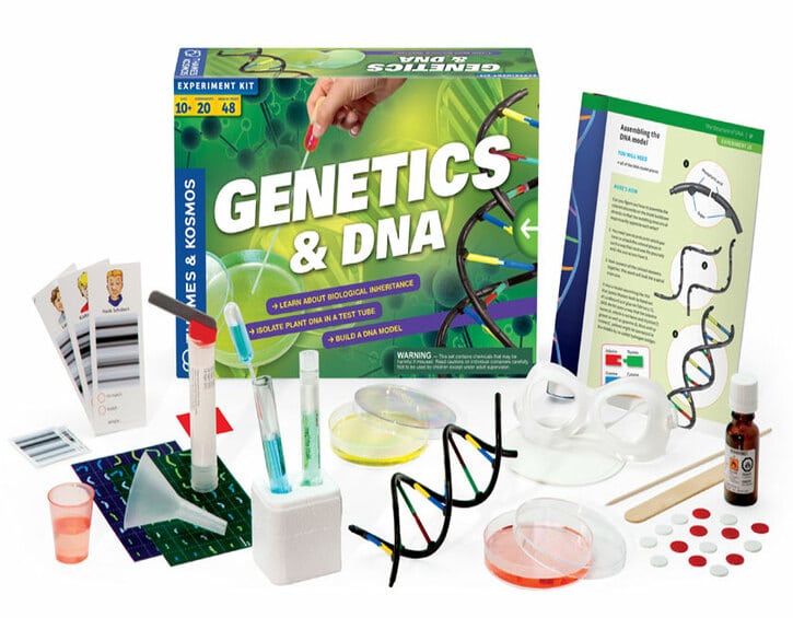 educational toys Trigonos Thames and Kosmos Genetics DNA