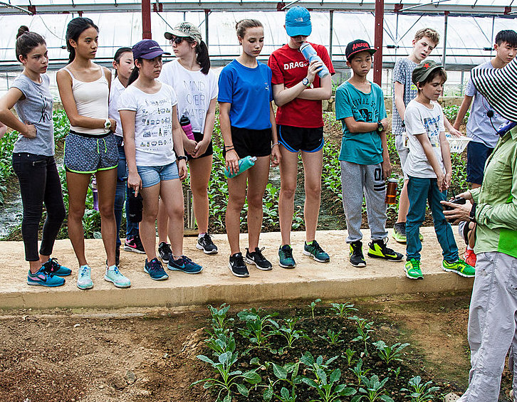 Growing At The Pier Urban Farming Workshop