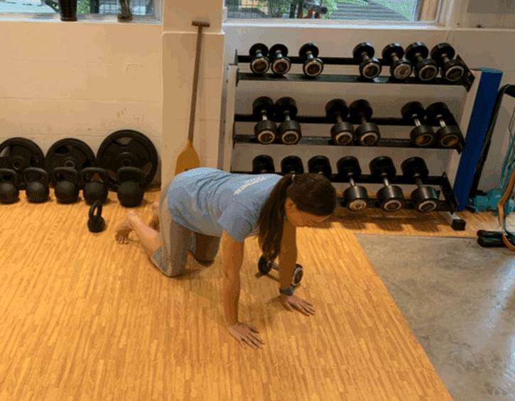 second trimester exercise plank drag