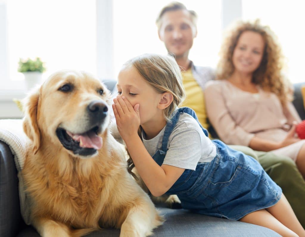 family life prepare kids pet responsibility