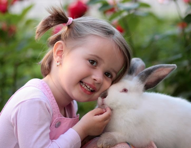family life prepare kids pet responsibility rabbit