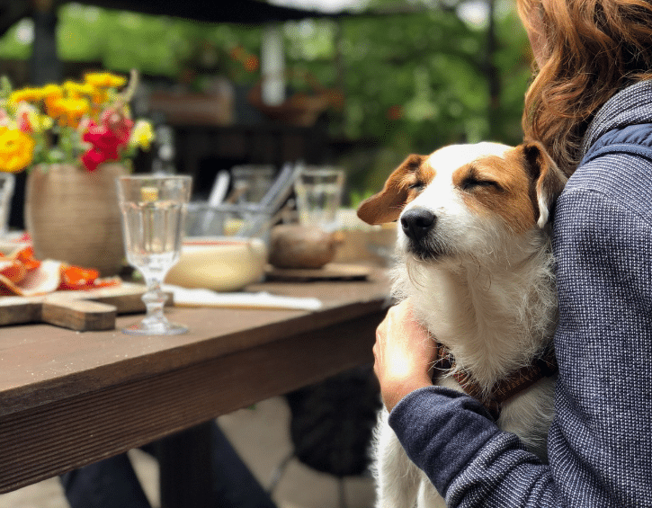 Sassy Mama Hong Kong Events: Doggy Brunch @ Komune Terrace