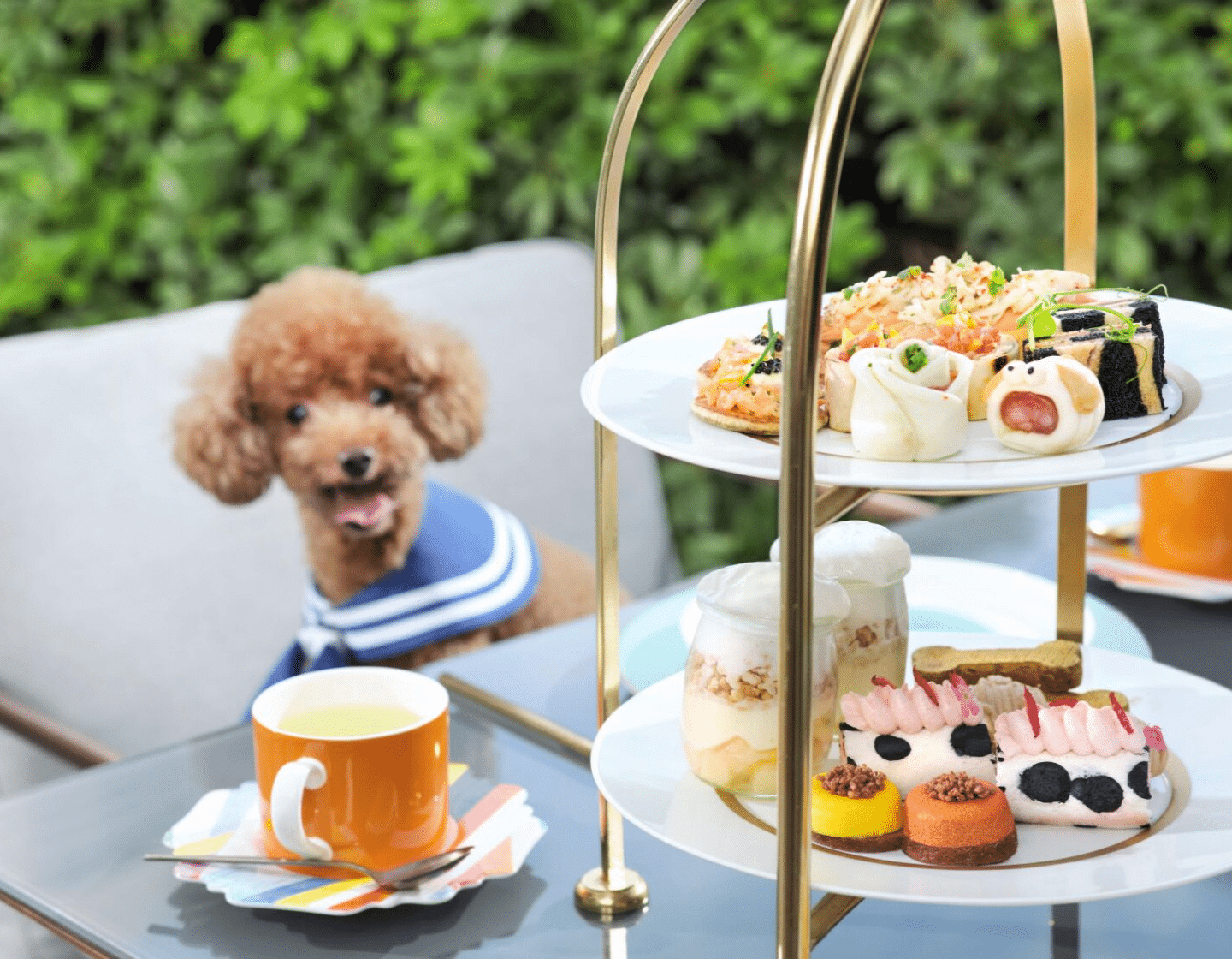 Sassy Mama Hong Kong Events Calendar: Paws For Tea Afternoon Tea At The Murray