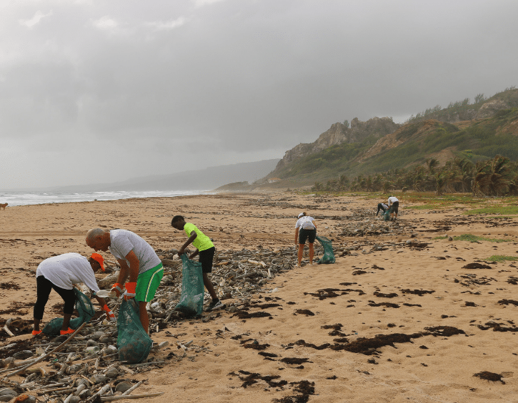 Free Events For Kids: Lance X Eco Marine Back to School Adventure Cleanup Tung Chung