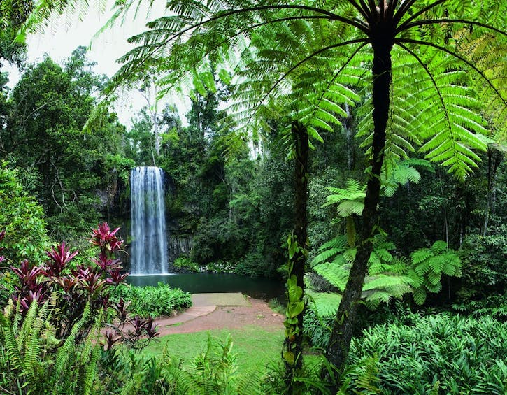 travel cairns Queensland Australia mill mill falls