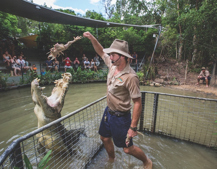 travel cairns Queensland Australia hartley's crocodile adventures