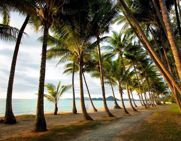 travel cairns Queensland Australia palm cove