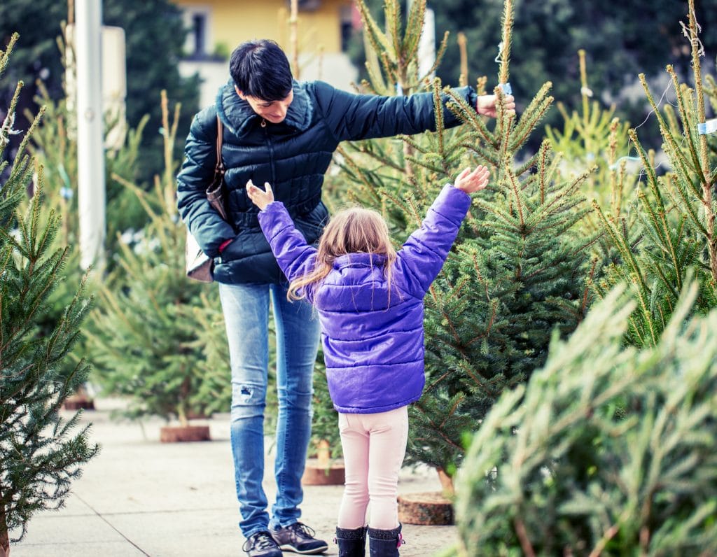 christmas where buy dispose christmas tree hk 2019