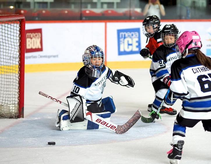 parties play learn unusual sports for girls ice hockey