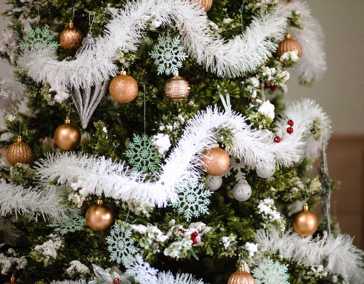 Christmas tree shopping 2019