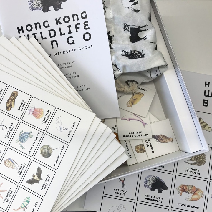 christmas gift guide 2019 children lion rock press hk wildlife bingo