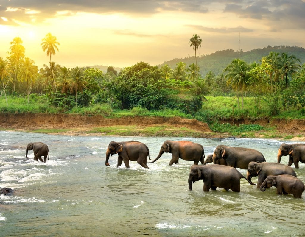 travel family-friendly Sri Lanka