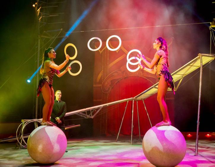 whats on December kids activities aia great European circus