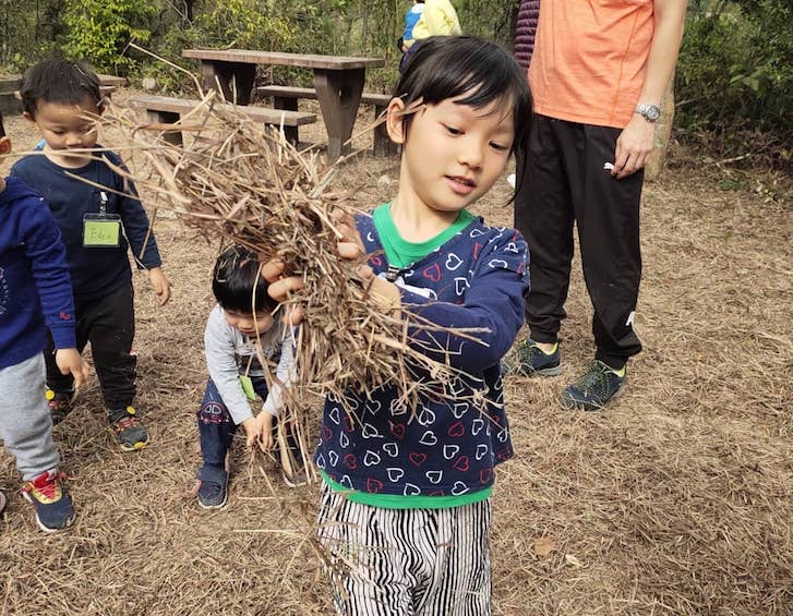 learn cny camps 2020 hk forest adventures